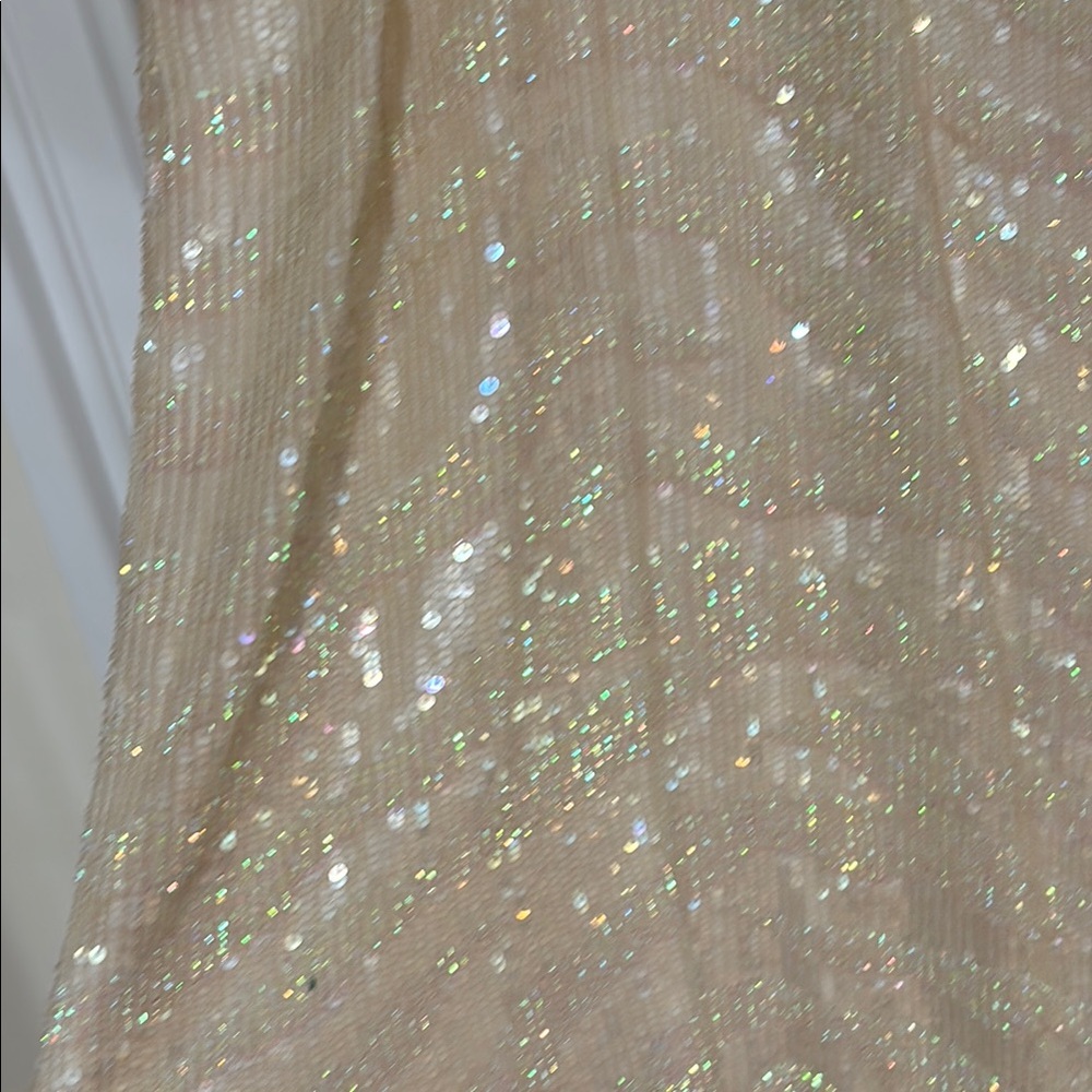 Parker Cream Sequin Dress - Picture 5 of 5